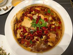 -船泊丽港(统一路店)