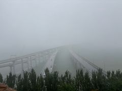 -星海湾跨海大桥