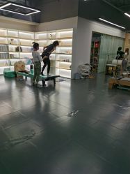 -1001普拉提运动