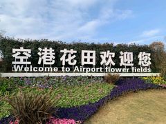 -空港花田景区