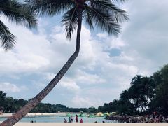 -巴拉湾海滩