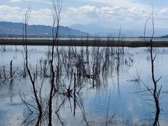 -野鸭湖国家湿地公园