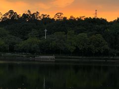 -南国桃园旅游度假区