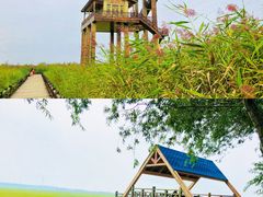 -沉浸北京·团建旅行·密室剧本杀·年会会议轰趴拓展