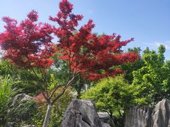 -东湖景区
