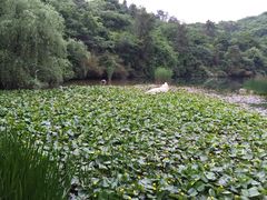 -天目湖山水园