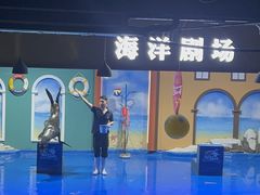 -重庆欢乐海底世界