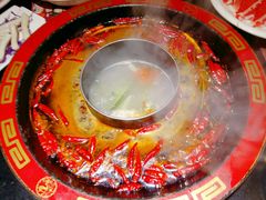 红白鸳鸯锅-矮板凳老火锅(宽窄巷子店)