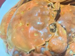 -黄记大闸蟹专卖店·活蟹·醉蟹