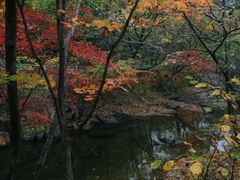 -关门山森林公园