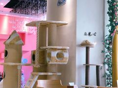 -藏猫猫咖啡主题馆(中央大道店)