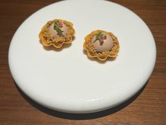 -觀芷隐轩