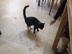 -聪辉同安老美食饭店(大元路店)