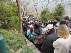 -灵顺寺