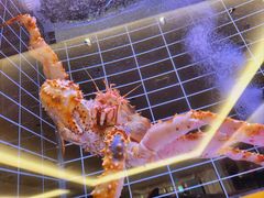 -頂好酒家·经典粤菜(海信广场店)