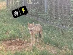 -上方山森林动物世界
