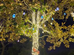 -祥源·阜阳生态乐园