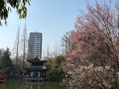 -水绘园