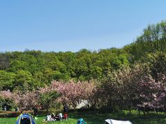 -南京市江宁方山