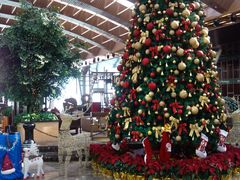 -苏州金鸡湖中茵皇冠假日酒店