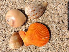 -西涌国际滨海旅游区