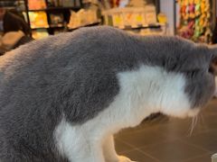 -萌兽医馆·眼科·异宠专科(三里屯店)