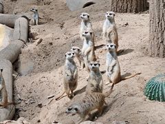 -北京野生动物园