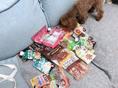 -萌兽医馆·眼科·异宠专科(三里屯店)