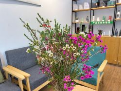 -章光101防脱养发荟