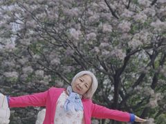 -月湖风景区