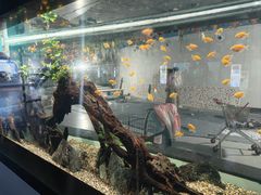 -海合安武汉极地海洋公园