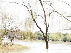 -堤角公园
