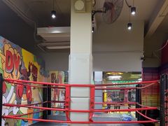 -大焱搏击·泰拳·拳击俱乐部(大柏树店)
