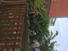 iphone_upload_pic-漫渡庄绿岛花园•隐世庭园菜(滨湖店)