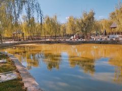-杨柳青庄园