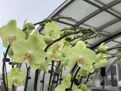 -Hi City·城市之巅