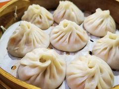 -莱莱小笼·乔艾