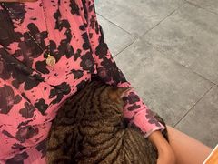 -栖咖啡(泉舜店)