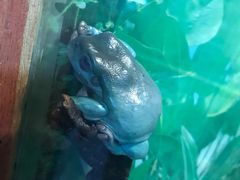 -上海大自然野生昆虫馆(东方明珠·爬宠昆虫探索中心)