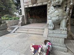 -普陀山风景区-佛顶山