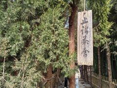 -洛阳白马寺