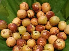 -冠菌涮烤自助(东莞樟木头店)