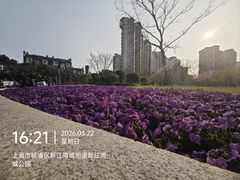 -新江湾城公园