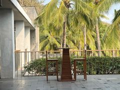 -日落吧·海景咖啡厅·餐酒吧·鸡尾酒·下午茶·乐队表演·浪漫夕阳·三亚文华东方酒店