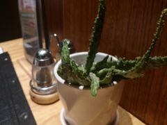 -Cactus墨西哥仙人掌餐厅