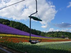 -富田农场