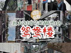 -四川大学(望江校区)