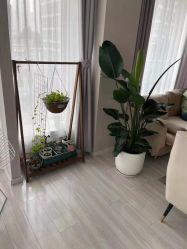 -Hi Skin皮肤管理中心