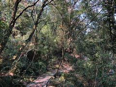 -广州市石门国家森林公园