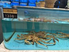 -莆鑫海鲜城(浏河店)